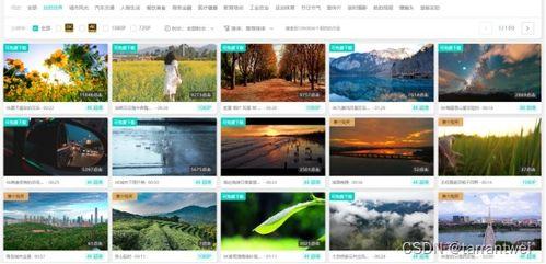 爆料视频素材网站,独家素材一网打尽