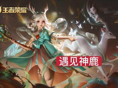 瑶遇见神鹿最初爆料视频,揭秘神秘视频背后的奇幻之旅